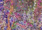 Val Glenny - Flower Tapestry.jpg